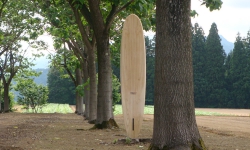 9'8 woodslider 024.jpg